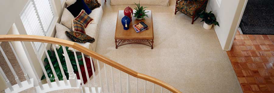 Colorado Cleaning and Restoration clean carpet, air duct cleaning, pet odor, tile and grout, wood floors and furniture