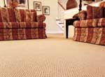 Colorado Cleaning and Restoration carpet cleaning, air duct cleaning, pet urine cleaning, tile and grout cleaning, wood floors and furniture cleaning