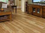 Colorado Cleaning and Restoration carpet cleaning, air duct cleaning, pet urine cleaning, tile and grout cleaning, wood floors and furniture cleaning