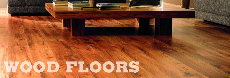 Colorado Cleaning and Restoration carpet cleaning, air duct cleaning, pet urine cleaning, tile and grout cleaning, wood floors and furniture cleaning